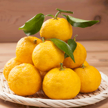 画像をギャラリービューアに読み込む, 京のめんたい 京都水尾ゆず仕込み 120g